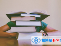 宜賓2022年如何查詢中考成績(jī)單