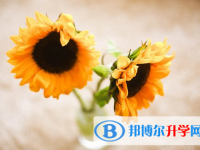 宜賓2022年怎樣查詢中考藝體考試成績(jī)