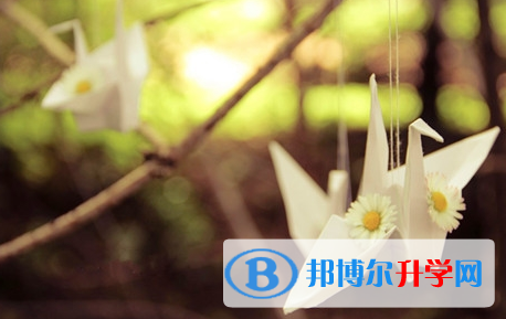 宜賓2022年中考成績查詢?nèi)肟? width=
