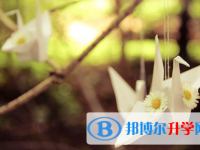宜賓2022年中考成績查詢?nèi)肟? /><b>宜賓2022年中考成績查詢?nèi)肟?/b><span>2021-11-09 14:57</span><p>中考已經(jīng)結(jié)束，馬上中考成績也將出爐，到時候孩子們緊繃的神經(jīng)也可以放松下來。其實除了高考之外，中考也算我們?nèi)松斜容^大的一</p></a></h3></li>
            <li><h3><a href=