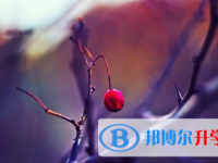 宜賓2022年中考成績?nèi)绾尾樵? /><b>宜賓2022年中考成績?nèi)绾尾樵?/b><span>2021-11-09 15:56</span><p>中考之后，學生和家長也還未脫離緊張的氣氛，依舊緊張的等待著中考成績的公布。大家還是要保持平常心以積極的姿態(tài)去面對，中考成</p></a></h3></li>
            <li><h3><a href=