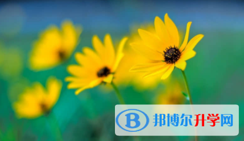 宜賓2022年中考網上報名系統