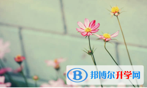 宜賓2022年中考網(wǎng)上模擬報(bào)名