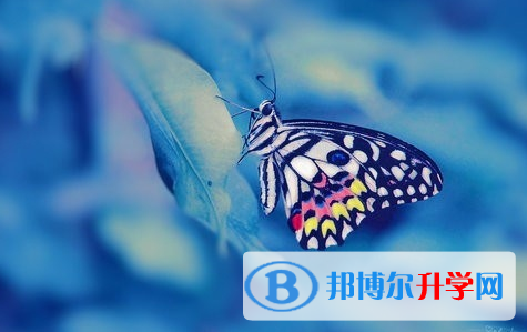 宜賓2022年中考重點(diǎn)復(fù)習(xí)資料
