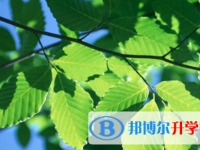 宜賓2022年中考各科高頻考點(diǎn)