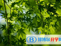 宜賓2022年中考后計(jì)劃