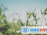 宜賓2022年中考技巧和注意事項(xiàng)