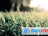 宜賓2022年中考錄取通知書(shū)