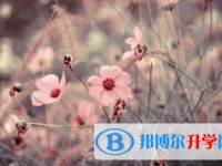 宜賓2022年中考升學(xué)率