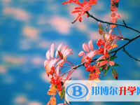 宜賓2022年中考時(shí)間