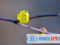 宜賓2022年中考具體時(shí)間