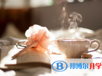宜賓2022年中考體考標(biāo)準(zhǔn)