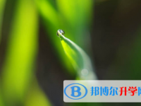 宜賓2022年中考應(yīng)對(duì)策略