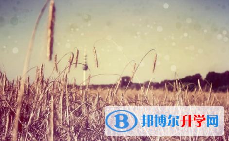 宜賓2022年中考注意事項(xiàng)