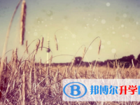 宜賓2022年中考注意事項(xiàng)
