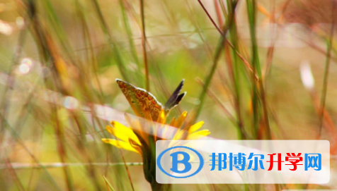宜賓2022年中考沒考好可以復(fù)讀嗎
