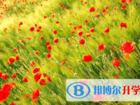 廣安2022年網上查詢中考成績