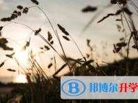 廣安2022年網上查詢中考成績怎么查詢