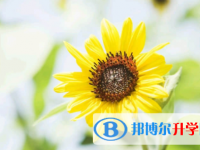 廣安2022年中考查詢成績網址