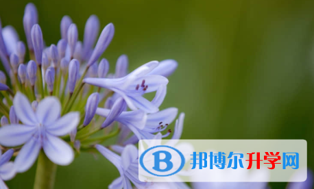 廣安2022年中考后幾天出成績(jī)