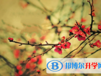 廣安2022年中考派的學校有哪些學校