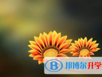 廣安2022年中考升學錄取比例
