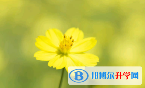 廣安2022年中考調劑志愿