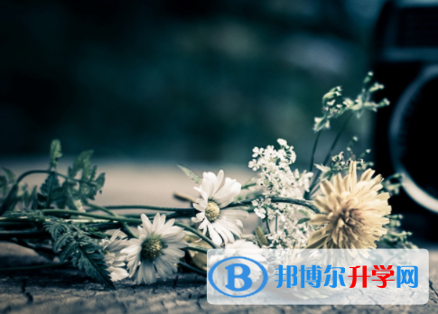 達(dá)州2022年外地生中考怎沒成績