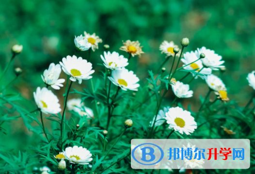 達(dá)州2022年怎樣對(duì)待中考成績(jī)