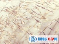 達州2022年中考成績什么時間知道