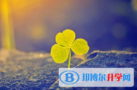 達州2022年中考查詢系統的密碼記不到了怎么辦
