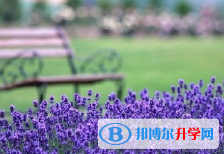 達(dá)州2022年中考成績今年怎么這么高