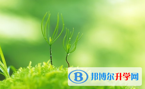達(dá)州2022年中考成績(jī)重點(diǎn)線