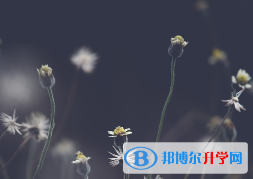 達(dá)州2022年中考是不是錄取線最高的