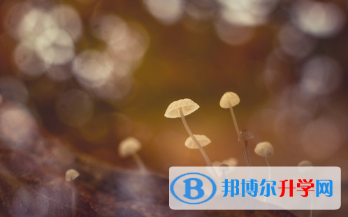 達(dá)州2022年中考網(wǎng)報