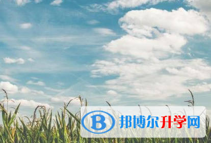 達(dá)州2022年中考招考信息