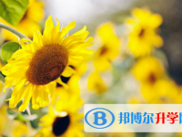 達州2022年中考招生計劃查詢