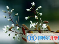 達(dá)州2022年中考重點(diǎn)復(fù)習(xí)資料