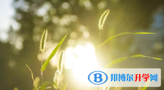 達(dá)州2022年孩子因病錯(cuò)過中考怎么辦