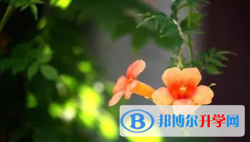達州2022年中考報名網站登錄