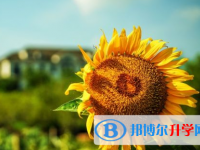 達(dá)州2022年中考報(bào)名網(wǎng)站是什么
