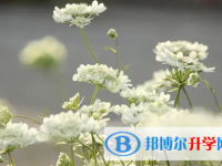達(dá)州2022年中考報(bào)名系統(tǒng)網(wǎng)址