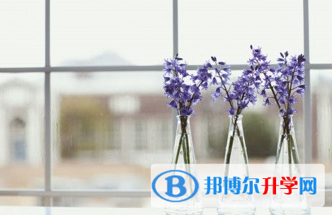 達(dá)州2022年中考模擬填報(bào)志愿
