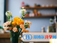 達(dá)州2022年中考志愿更改
