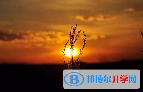 巴中2022年中考查詢網