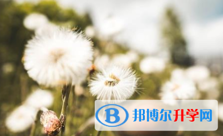 阿壩2022年怎樣查詢中考成績(jī)