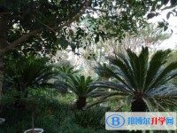 達州市新世紀學校2025年招生辦聯(lián)系電話