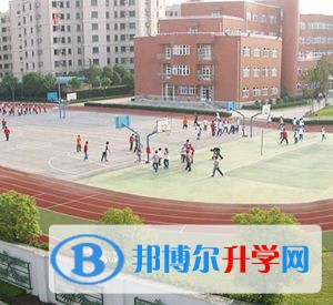 上海新虹橋中學(xué)國際部2023年招生政策