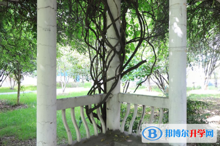 南京大廠高級中學(xué)2023年地址在哪里