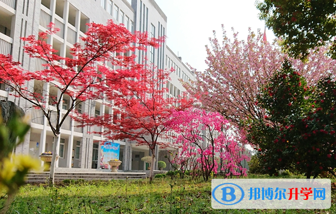 合肥第十中學2023年招生辦聯(lián)系電話 